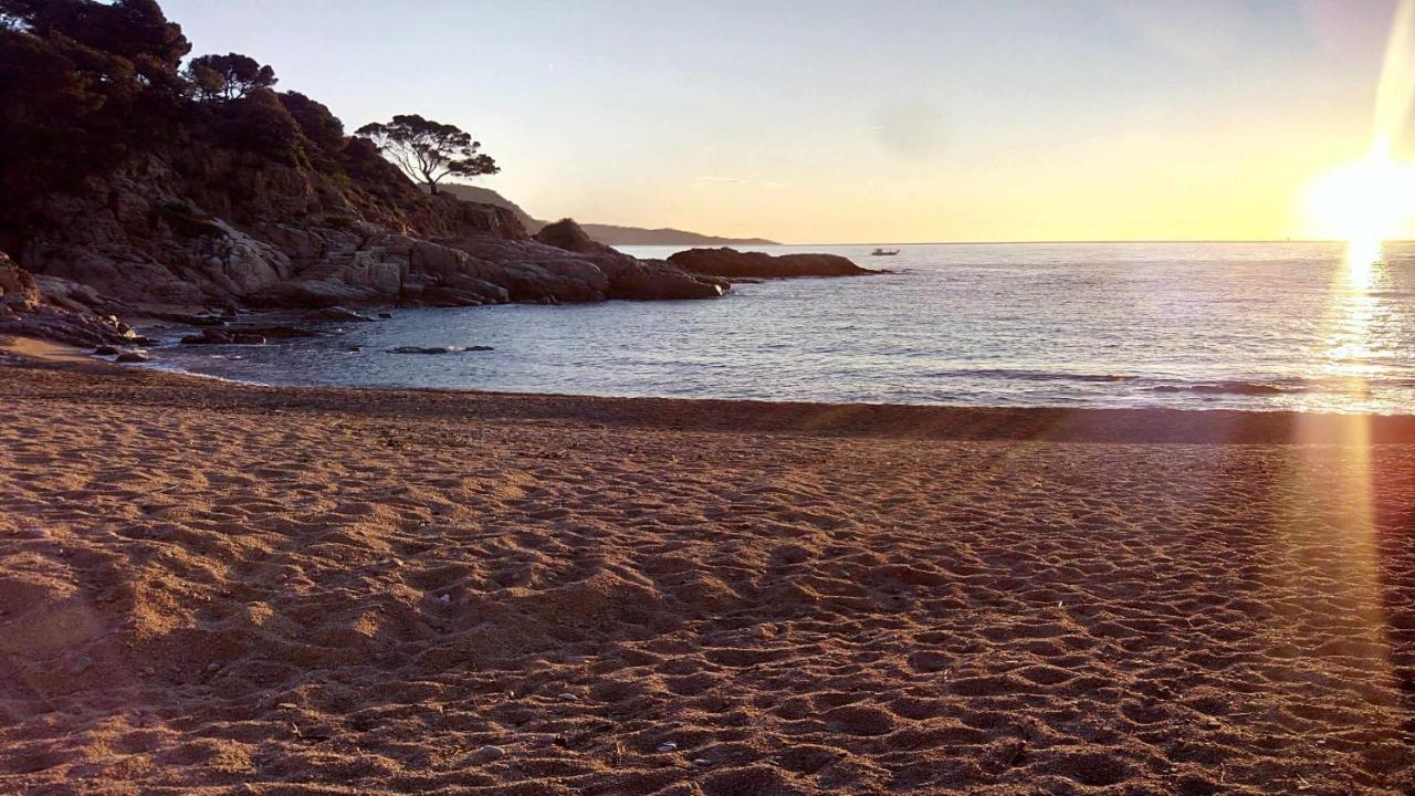 Apartamento Carabelasiente La Brisa Del Mar Tossa de Mar Eksteriør bilde